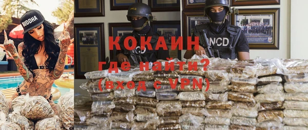 PSILOCYBIN Валдай