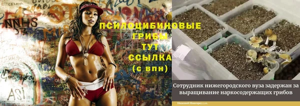 apvp Нея